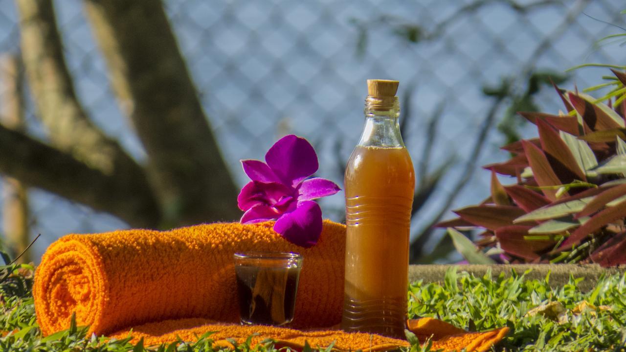 Ayurveda Spring Of Life Hotel Piliyandala Buitenkant foto